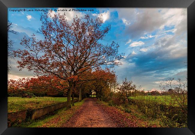 Autumn walk Framed Print by Laco Hubaty