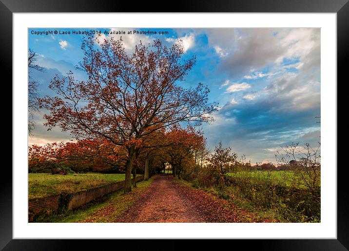 Autumn walk Framed Mounted Print by Laco Hubaty