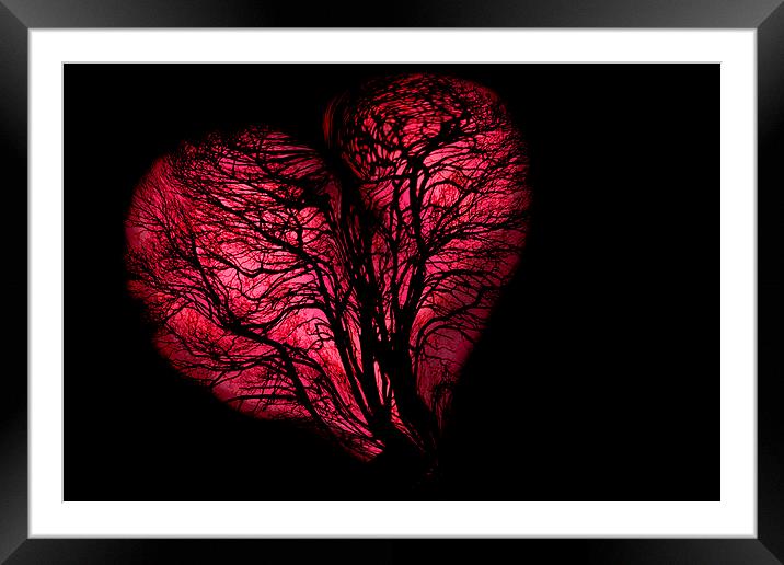 Wooden Heart Framed Mounted Print by Adrian Bollans