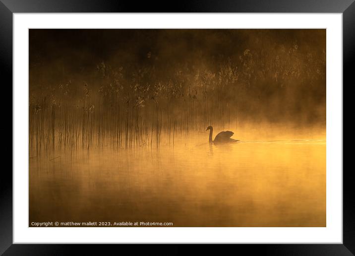 Misty Selbrigg Pond Framed Mounted Print by matthew  mallett