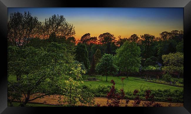 Sunset through the Tree Tops Framed Print by matthew  mallett