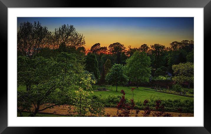 Sunset through the Tree Tops Framed Mounted Print by matthew  mallett