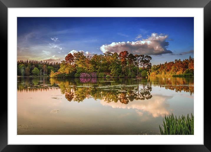 Tranquil Moment By the Lake Framed Mounted Print by matthew  mallett