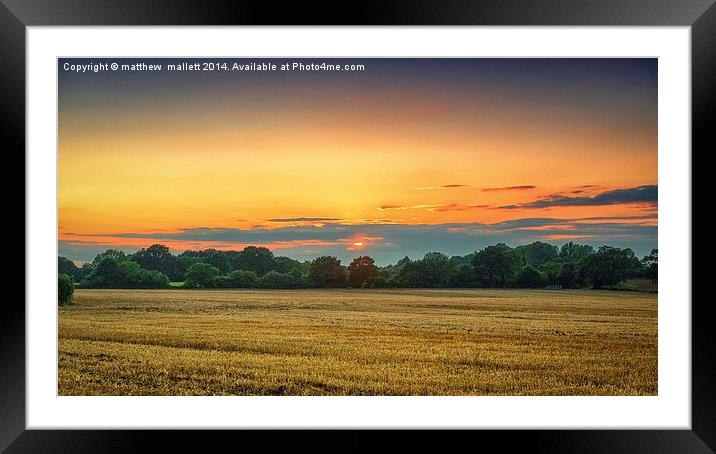  Sunset over an Essex Field Framed Mounted Print by matthew  mallett