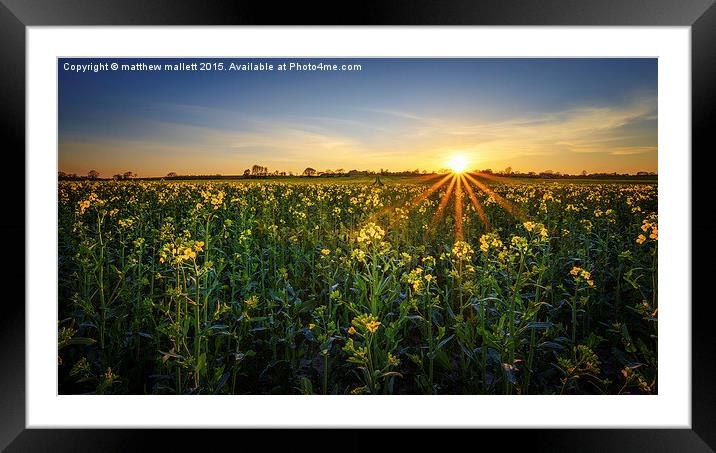  Balmy April Countryside Sunset Framed Mounted Print by matthew  mallett