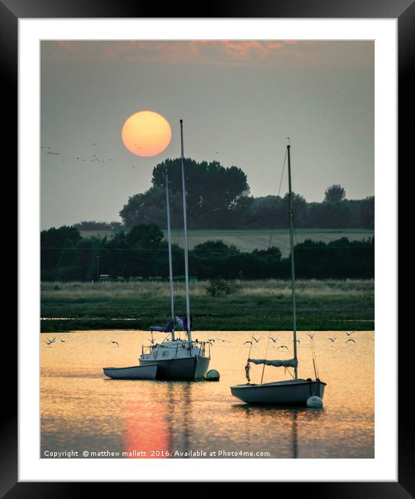 Home to Roost At Sunset Framed Mounted Print by matthew  mallett