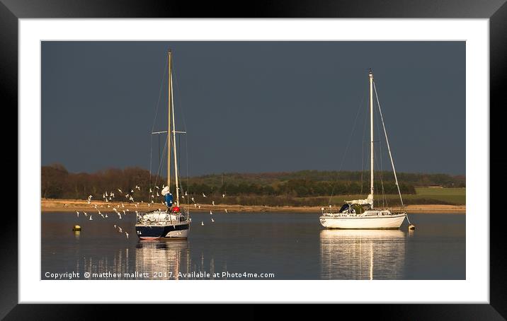 Low Level Flypast On The River Stour Framed Mounted Print by matthew  mallett