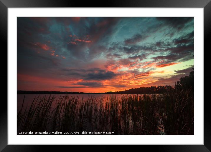 Sunset At Lake Louisa Florida Framed Mounted Print by matthew  mallett