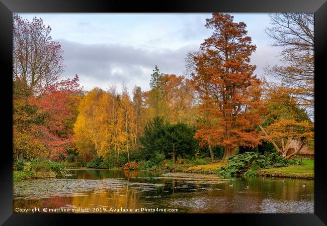 Thorpe Le Soken Autumn Colour Framed Print by matthew  mallett