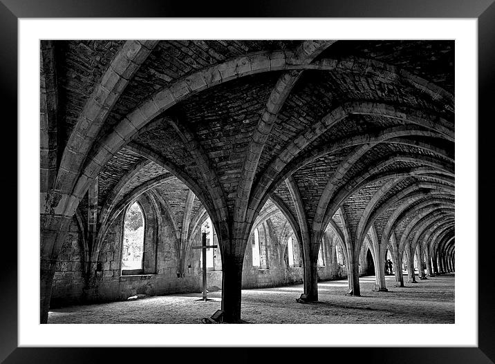 Fountains Abbey, Yorkshire Framed Mounted Print by Andrew Warhurst