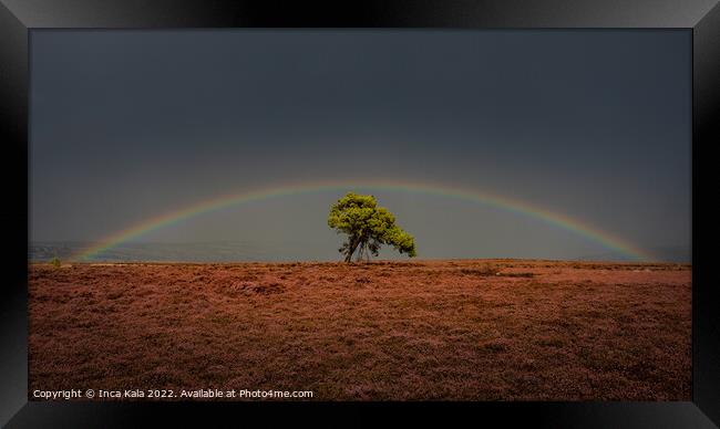 Rainbow Over The Egton Lonley Tree Framed Print by Inca Kala