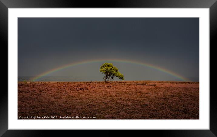 Rainbow Over The Egton Lonley Tree Framed Mounted Print by Inca Kala