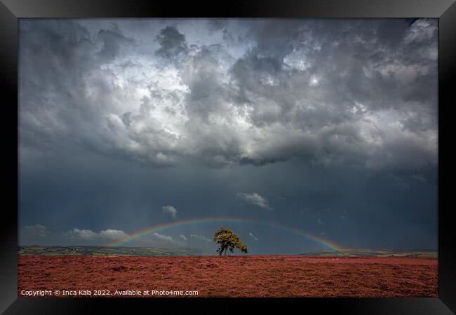 Rainbow And Stom Clouds Over The Lonely Tree Framed Print by Inca Kala