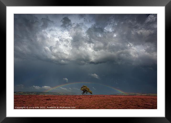 Rainbow And Stom Clouds Over The Lonely Tree Framed Mounted Print by Inca Kala