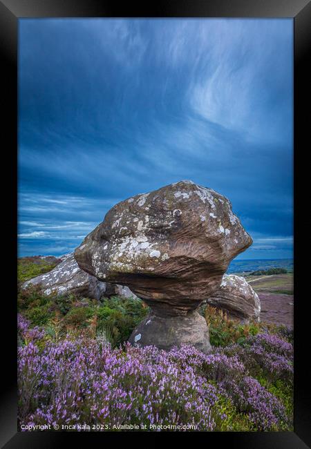Weather Sculpted Rock and Moorland Heather  Framed Print by Inca Kala