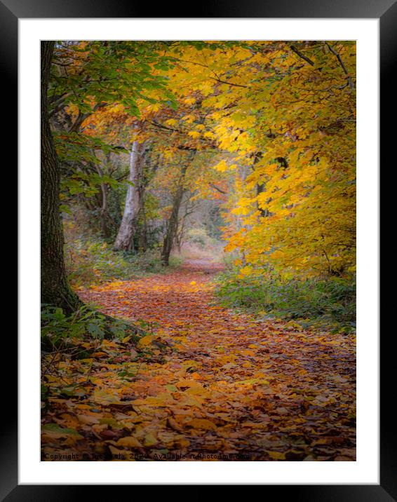 A Walk Through The Colours Of Autumn Framed Mounted Print by Inca Kala