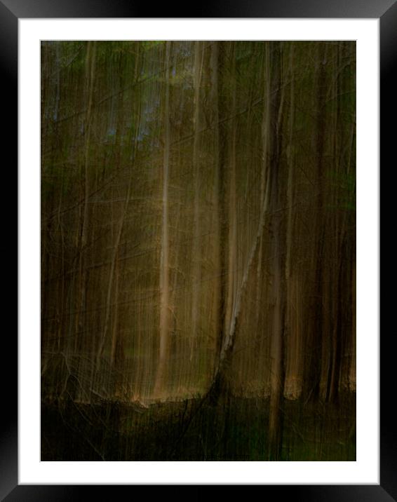 In The Dark Forest Framed Mounted Print by Inca Kala