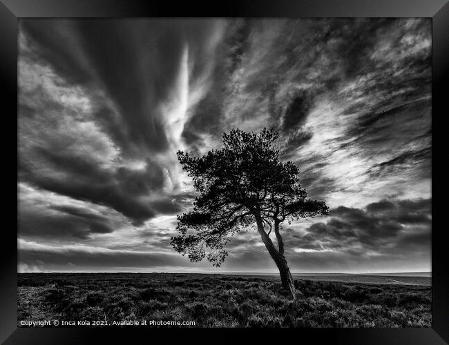 Egton's Lonely Tree Under A Dramatic Sky Framed Print by Inca Kala