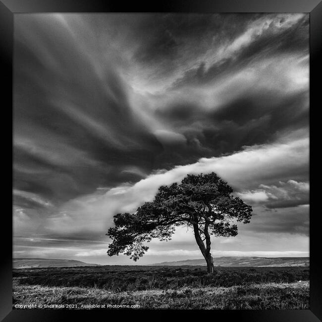 Egton's Lonely Tree Under A Dramatic Sky - Square Series 3 Framed Print by Inca Kala