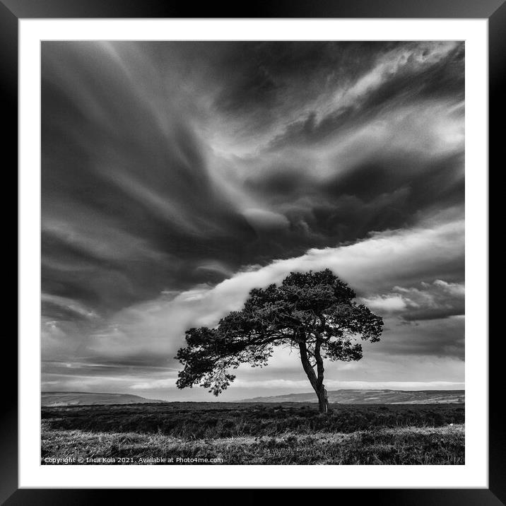 Egton's Lonely Tree Under A Dramatic Sky - Square Series 3 Framed Mounted Print by Inca Kala