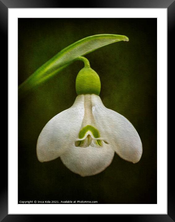 Painterly Snowdrop  Framed Mounted Print by Inca Kala