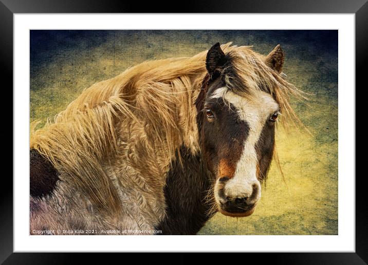 Harris The Horse and His Mane Framed Mounted Print by Inca Kala