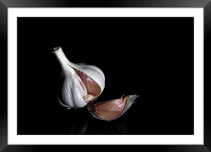 Garlic Bulb Framed Mounted Print by anna collins