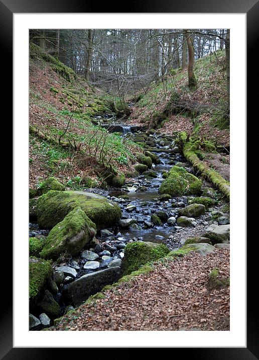  Winding Stream in Cumbria Framed Mounted Print by anna collins