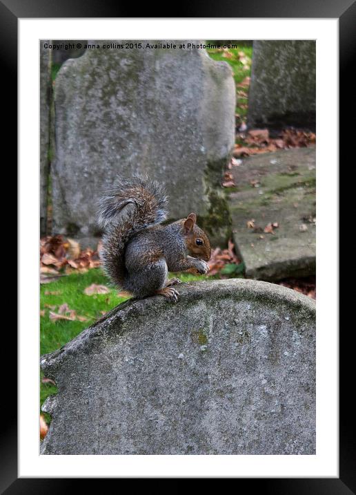  Graveyard Squirrel Framed Mounted Print by anna collins