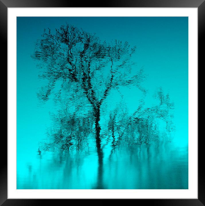 Feeling Blue... Framed Mounted Print by Kate Towers