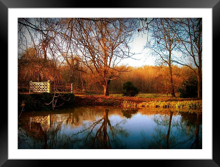 Winter Light Framed Mounted Print by Kate Towers