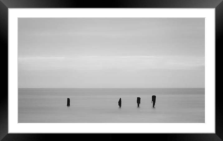 Odd one out Framed Mounted Print by Andy Redhead