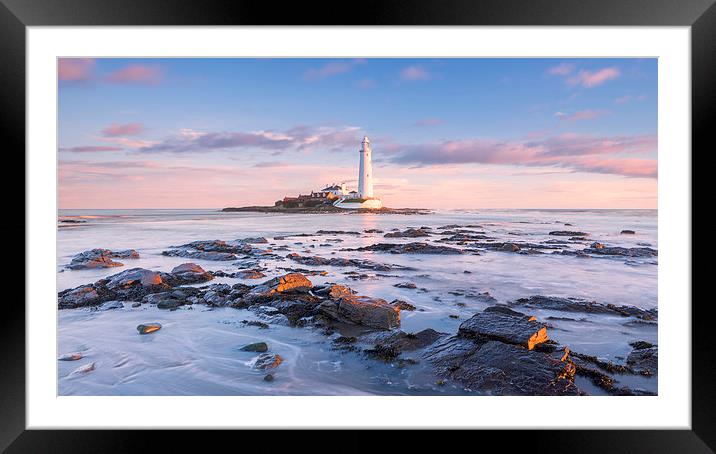 St Mary's Lighthouse Sunrise Framed Mounted Print by Andy Redhead