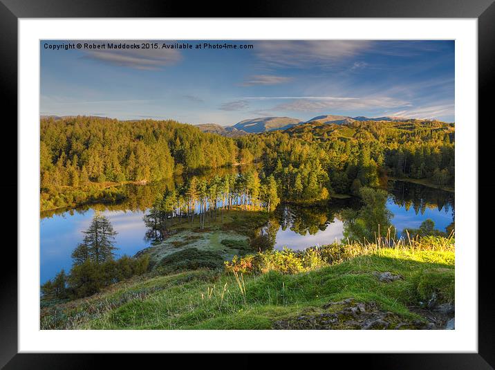  Tarn Hows Framed Mounted Print by Robert Maddocks