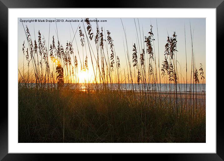 Morning in all its Glory Framed Mounted Print by Mark Draper