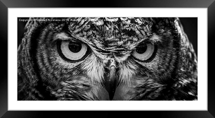 Beautiful Eagle Owl Framed Mounted Print by Stewart Nicolaou