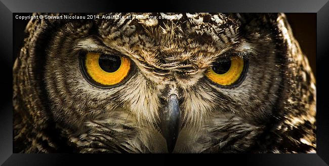 Eagle Owl Framed Print by Stewart Nicolaou
