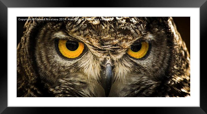 Eagle Owl Framed Mounted Print by Stewart Nicolaou
