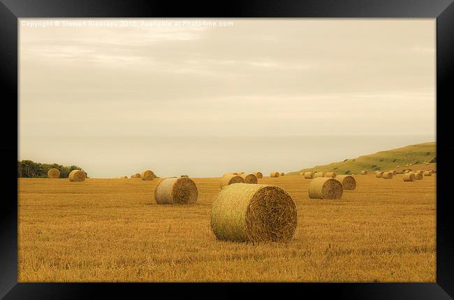 The Bales at St Aldhelm, Dorset Framed Print by Stewart Nicolaou