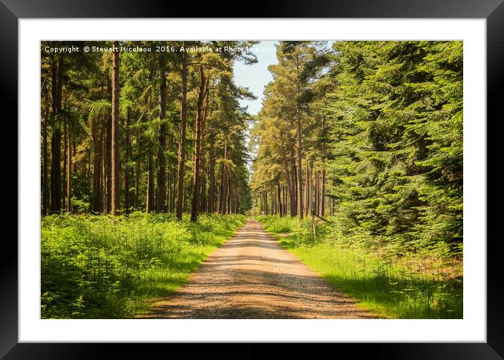 Thetford Forest Framed Mounted Print by Stewart Nicolaou