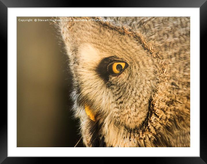 Great Grey Owl Framed Mounted Print by Stewart Nicolaou