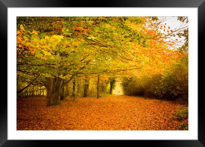 Autumn Leaves Framed Mounted Print by Stewart Nicolaou