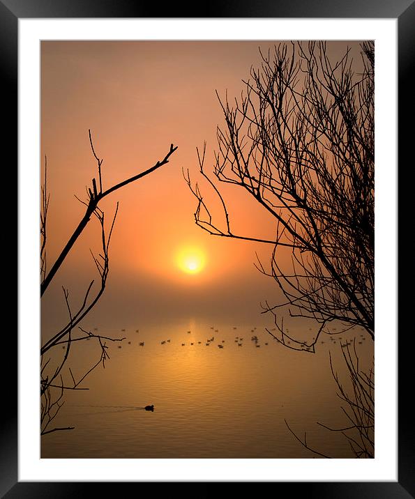 Cosmeston Lake with mist Framed Mounted Print by Mark Williams