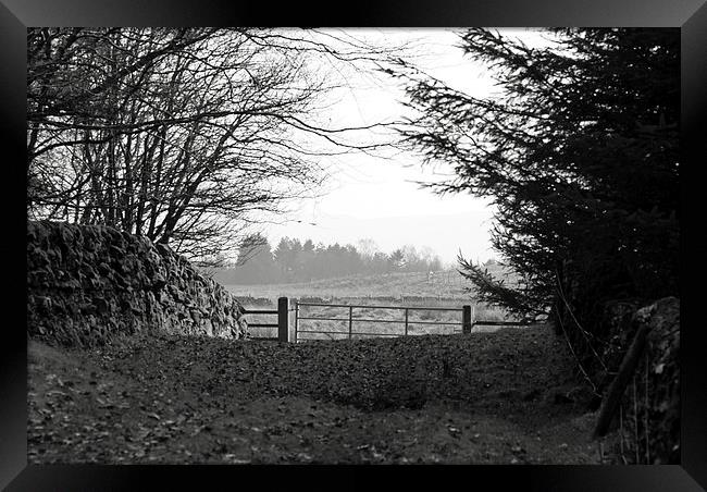 Old Stone Wall and Gate BW Scotland Framed Print by James Taylor