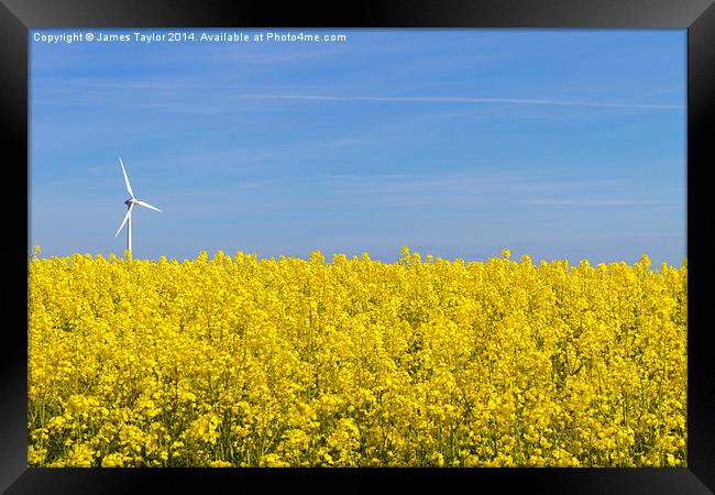 Wind Turbine in field of yellow Framed Print by James Taylor