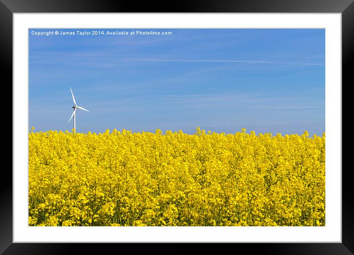 Wind Turbine in field of yellow Framed Mounted Print by James Taylor