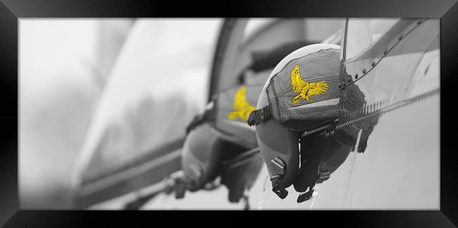  Eagle Squadron B&W + Yellow Framed Print by Alan Rampton Photography