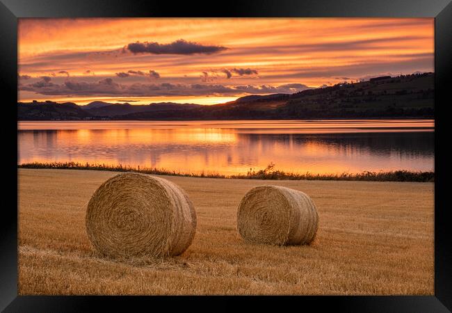 Hay Bales Cromarty Firth Framed Print by Jason Moss