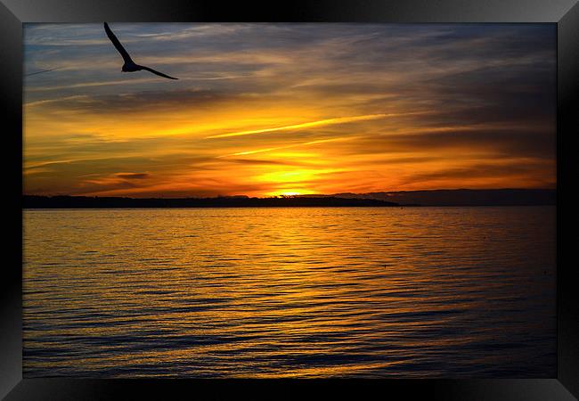 sunset over lee on solent Framed Print by nick wastie