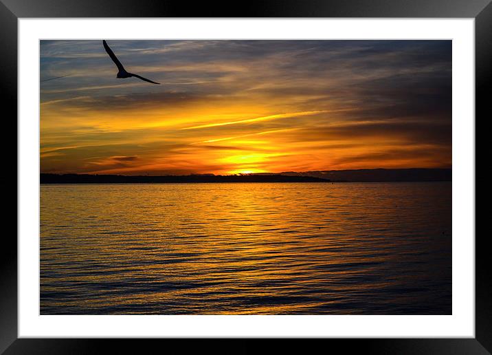 sunset over lee on solent Framed Mounted Print by nick wastie